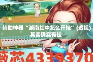 辅助神器“湖南红中怎么开挂”(透视)其实确实有挂 