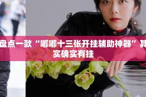 盘点一款“嘟嘟十三张开挂辅助神器”其实确实有挂