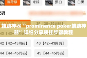 辅助神器“prominence poker辅助神器”详细分享装挂步骤教程