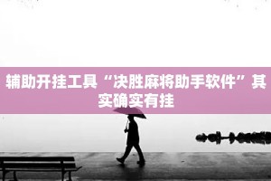 辅助开挂工具“决胜麻将助手软件”其实确实有挂