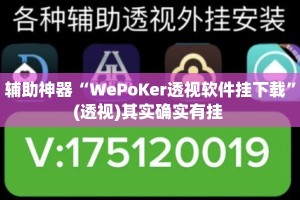 辅助神器“WePoKer透视软件挂下载”(透视)其实确实有挂 