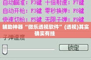 辅助神器“微乐透视软件”(透视)其实确实有挂 