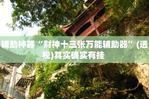 辅助神器“财神十三张万能辅助器”(透视)其实确实有挂 