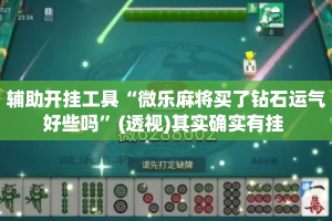 辅助开挂工具“微乐麻将买了钻石运气好些吗”(透视)其实确实有挂 