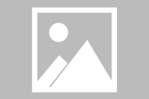 肇庆最新疫情/肇庆最新疫情情况