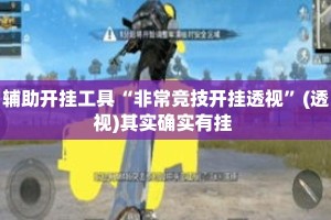 辅助开挂工具“非常竞技开挂透视”(透视)其实确实有挂 