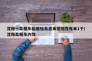 沈阳一出租车后座检出混采管阳性样本1个/沈阳出租车内饰