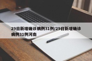 29日新增确诊病例31例/29日新增确诊病例31例河南