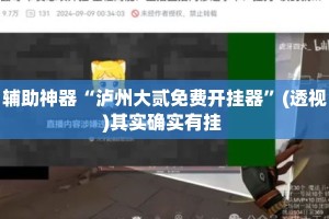 辅助神器“泸州大贰免费开挂器”(透视)其实确实有挂 