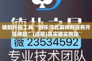辅助开挂工具“微乐河北麻将有没有开挂神器”(透视)其实确实有挂 