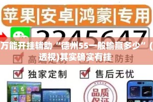 万能开挂辅助“德州55一般输赢多少”(透视)其实确实有挂 