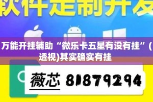 万能开挂辅助“微乐卡五星有没有挂”(透视)其实确实有挂 