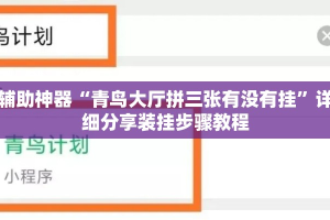 辅助神器“青鸟大厅拼三张有没有挂”详细分享装挂步骤教程