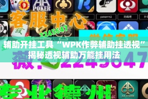 辅助开挂工具“WPK作弊辅助挂透视”揭秘透视辅助万能挂用法