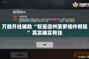 万能开挂辅助“智星德州菠萝插件教程”其实确实有挂