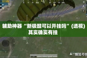辅助神器“新极酷可以开挂吗”(透视)其实确实有挂 