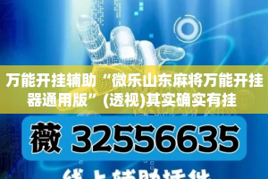 盘点一款“微乐河北麻将助赢神器购买”(透视)其实确实有挂 