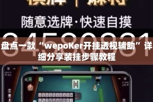 盘点一款“wepoKer开挂透视辅助”详细分享装挂步骤教程