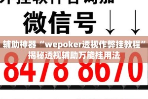 辅助神器“wepoker透视作弊挂教程”揭秘透视辅助万能挂用法
