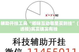 辅助开挂工具“嘟咪互动哪里买到挂”(透视)其实确实有挂 