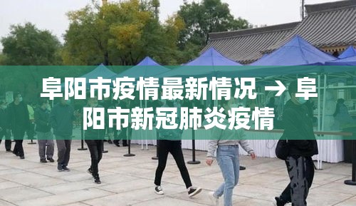 阜阳市疫情最新情况 → 阜阳市新冠肺炎疫情