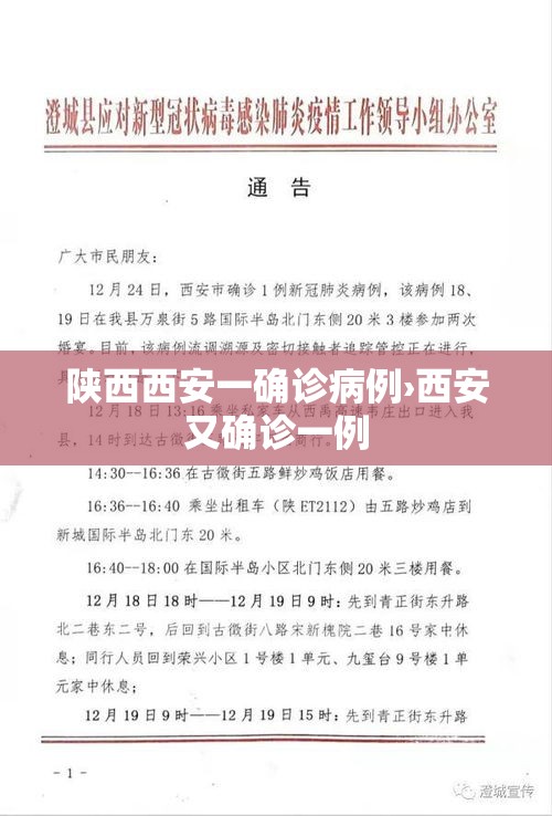 陕西西安一确诊病例›西安又确诊一例