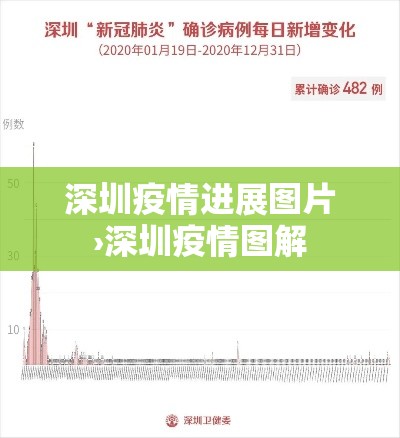 深圳疫情进展图片›深圳疫情图解