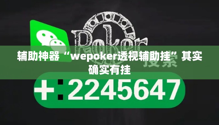 辅助神器“wepoker透视辅助挂”其实确实有挂