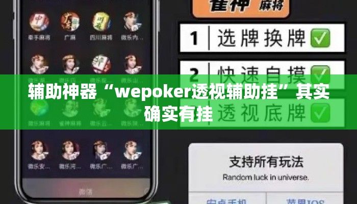 辅助神器“wepoker透视辅助挂”其实确实有挂