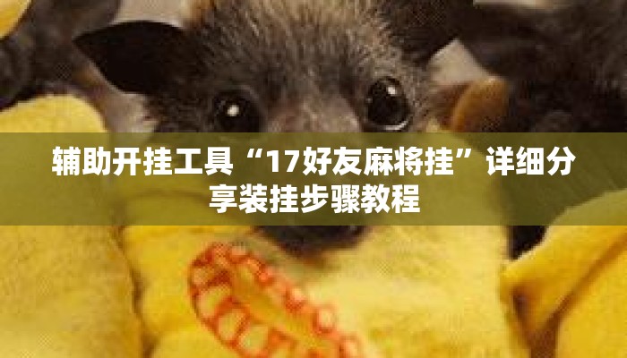 辅助开挂工具“17好友麻将挂”详细分享装挂步骤教程