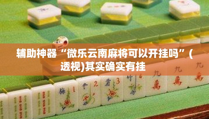 辅助神器“微乐云南麻将可以开挂吗”(透视)其实确实有挂 