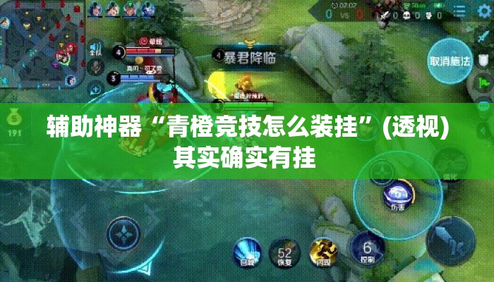 辅助神器“青橙竞技怎么装挂	”(透视)其实确实有挂 