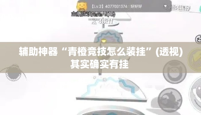 辅助神器“青橙竞技怎么装挂”(透视)其实确实有挂 