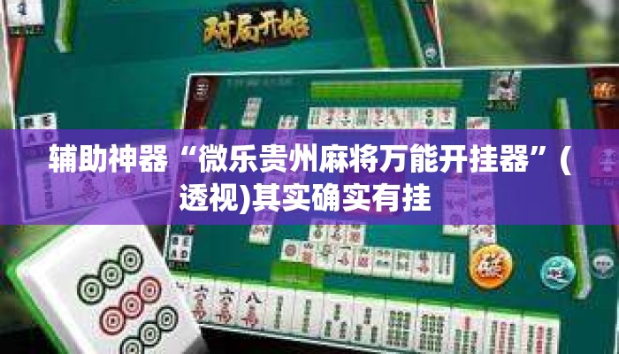 辅助神器“微乐贵州麻将万能开挂器”(透视)其实确实有挂 
