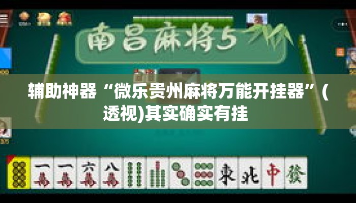 辅助神器“微乐贵州麻将万能开挂器	”(透视)其实确实有挂 