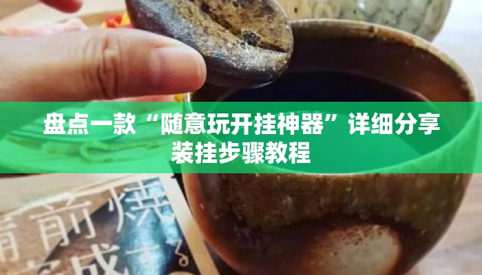 盘点一款“随意玩开挂神器”详细分享装挂步骤教程