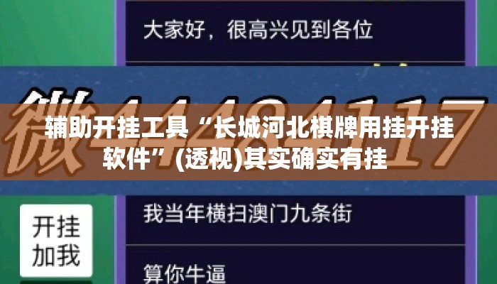 辅助开挂工具“长城河北棋牌用挂开挂软件	”(透视)其实确实有挂 