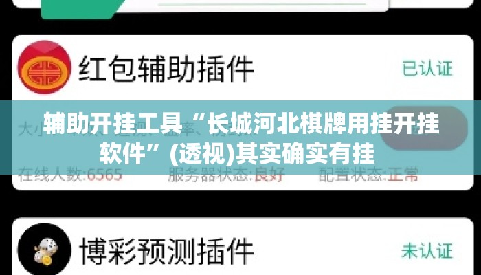 辅助开挂工具“长城河北棋牌用挂开挂软件”(透视)其实确实有挂 