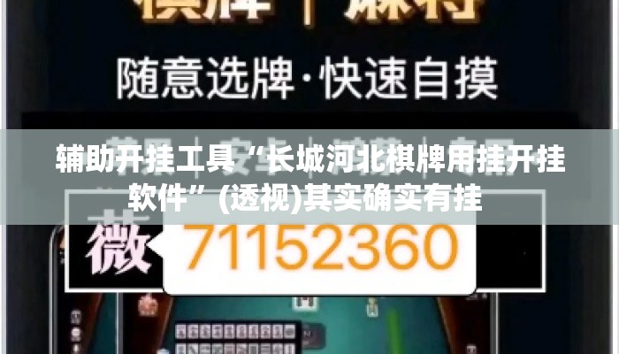 辅助开挂工具“毛豆大厅开挂”其实确实有挂