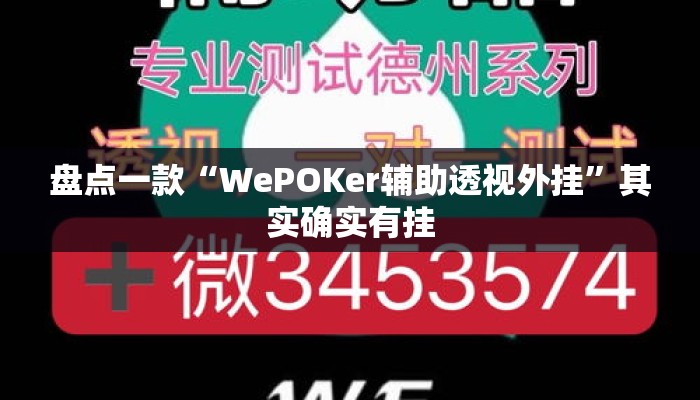 盘点一款“WePOKer辅助透视外挂”其实确实有挂