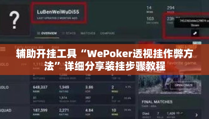 辅助开挂工具“WePoker透视挂作弊方法”详细分享装挂步骤教程