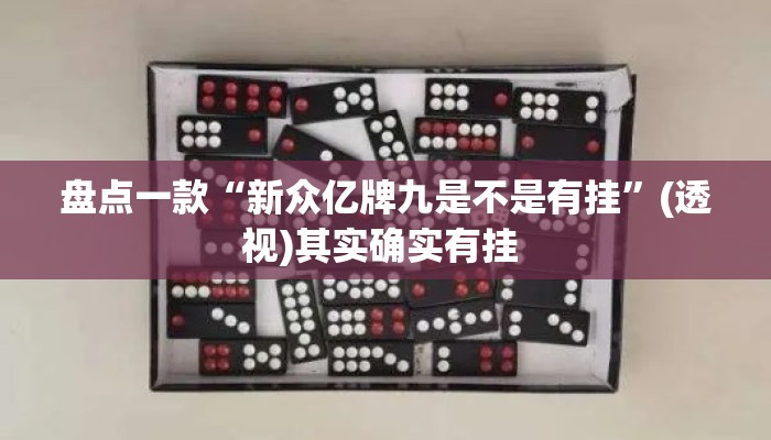 盘点一款“新众亿牌九是不是有挂”(透视)其实确实有挂 