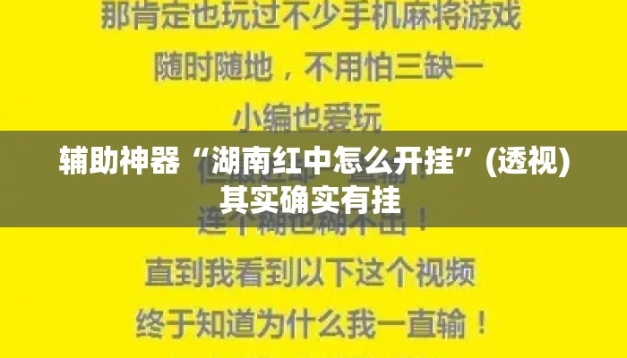 辅助神器“湖南红中怎么开挂”(透视)其实确实有挂 