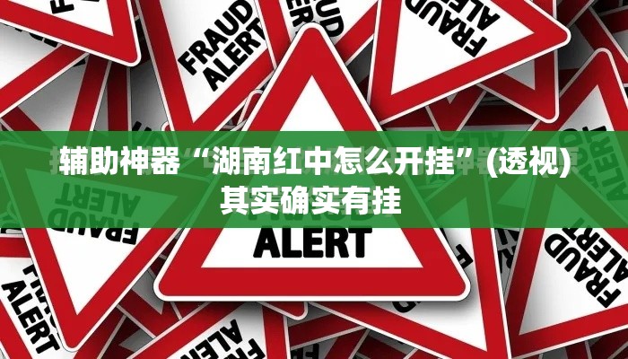 辅助神器“湖南红中怎么开挂	”(透视)其实确实有挂 