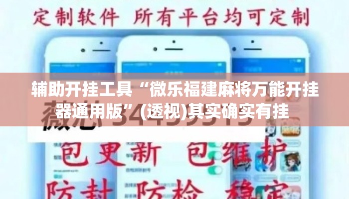 辅助开挂工具“微乐福建麻将万能开挂器通用版	”(透视)其实确实有挂 