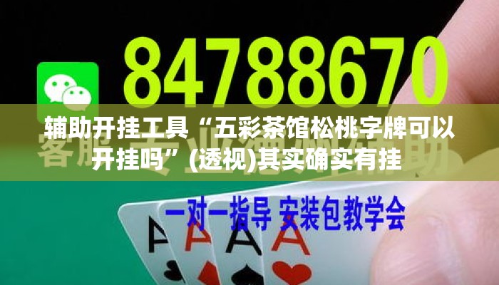 辅助开挂工具“五彩茶馆松桃字牌可以开挂吗”(透视)其实确实有挂 