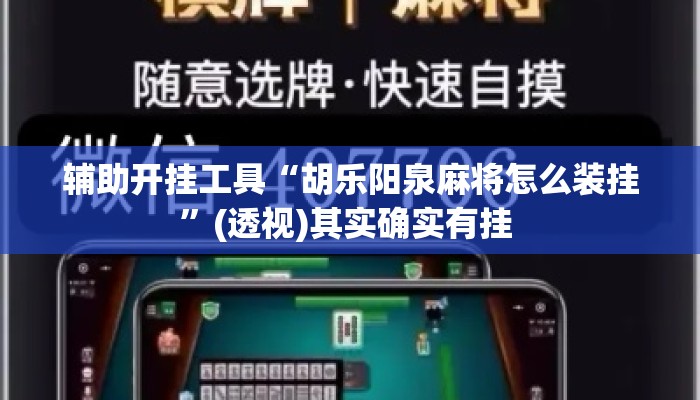辅助开挂工具“胡乐阳泉麻将怎么装挂	”(透视)其实确实有挂 
