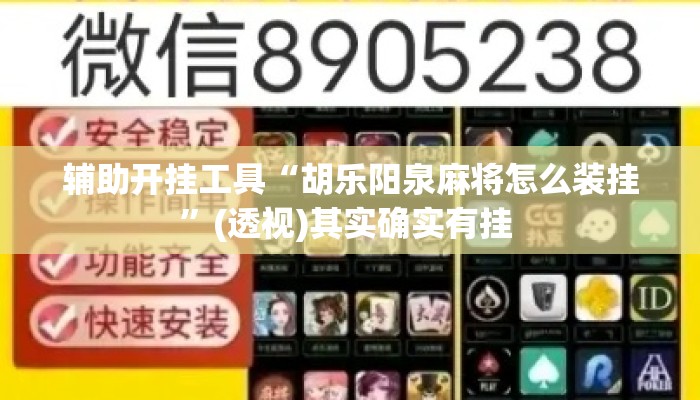 辅助开挂工具“胡乐阳泉麻将怎么装挂	”(透视)其实确实有挂 