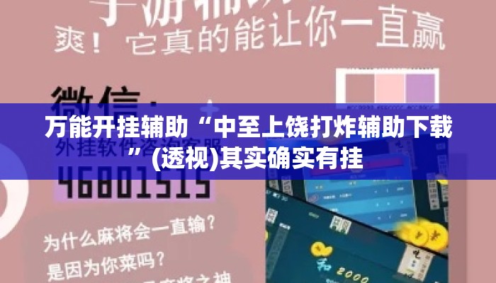 万能开挂辅助“中至上饶打炸辅助下载”(透视)其实确实有挂 