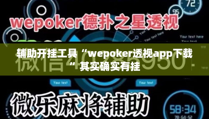 辅助开挂工具“wepoker透视app下载”其实确实有挂